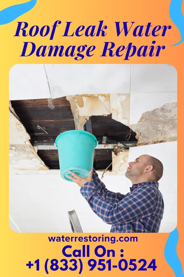 Roof Leak Water Damage Repair in Fuller Heights, FL